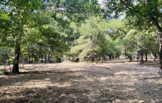 Unrestricted 1.91 acre lot in Mingus,Tx